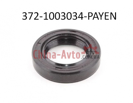 372-1003034-PAYEN сальник свечного колодца PAYEN купить для ремонта Чери Куку S11