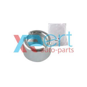 A11-2901041-Chery гайка амортизатора переднего купить для ремонта Чери Амулет 1.6